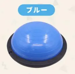 大幅値下げ！テクノジム ウェルネスボール 55cm バランスボール 付属品