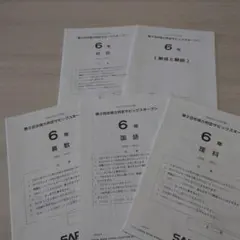 【SAPIX】サピックス 第2回合格力判定サピックスオープンテスト 6年