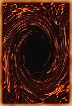 どじょう様【専用】