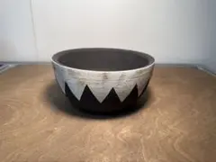 黒白グラデーション 手作植木鉢塊根植物 グラキリス パキプス アガベ 黒白グラデーション 手作植木鉢（塊根植物 グラキリス パキプス アガベ