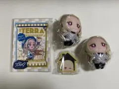 カリスマ テラ セット