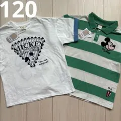 【ディズニー】リトシー ミッキー Tシャツ ポロシャツ 2点セット 120