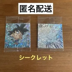 ドラゴンボール シールウエハース超 超絶感謝の十周年 シークレット2点