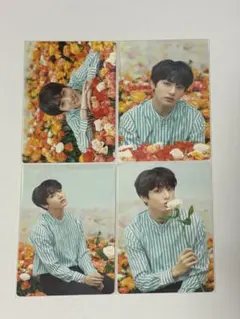 BTS ジョングク LOVE YOURSELF ミニフォト