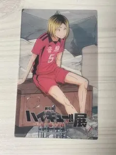 ハイキュー‼︎ ゴミ捨て場の決戦展 入場者特典クリアカード