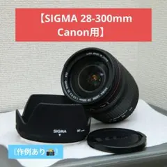 【フルサイズ】SIGMA 28-300mm F3.5-6.3 DG Canon用