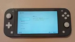 Nintendo Switch Lite / ニンテンドースイッチライト