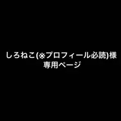 2026年最新】プロフ必読の人気アイテム - メルカリ