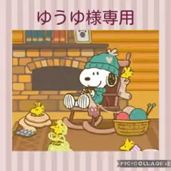 ユキエモン冬支度限定色✤ダブルファスナークリアポーチＤカン付