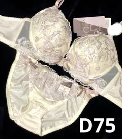 D75 クラッシーフルブルーム育乳脇高ブラジャー&フルバックショーツ