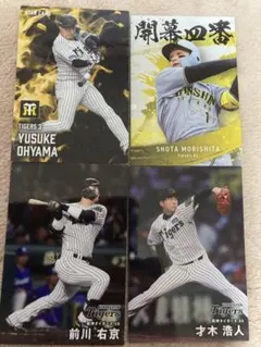 阪神タイガース カードセット