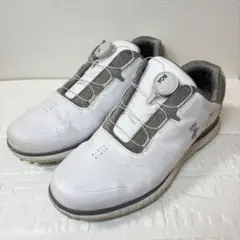 2026年最新】UNDER ARMOUR ゴルフ シューズ(男性用)の人気アイテム