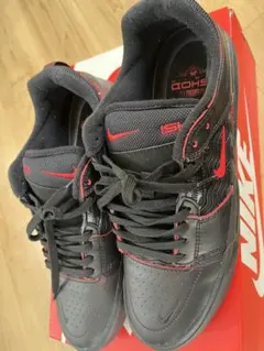 ナイキ SB イショッド NIKE SB ISHOD 27.5cm