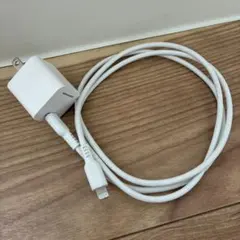 Lightningケーブル ライトニング iPhone 1m 多摩電子工業