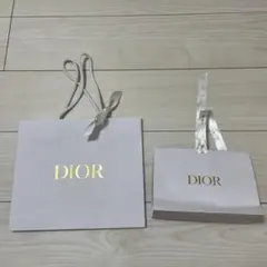 Dior ショップ袋 大小セット