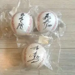 サイン入り野球ボール 長嶋茂雄 松井秀喜 高橋由伸 3個セット レプリカ