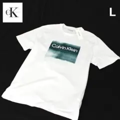 Calvin Klein「USA◇カルバンクライン」白色◇Tシャツ/CT77L
