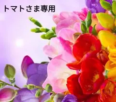 トマトさま専用ページです。