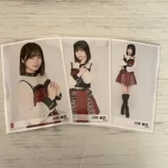 Item thumbnail for item 42b32ed7-834f-4f4d-8fb0-374af4c69d0c