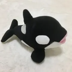 シャチ ぬいぐるみ 約27cm 須磨水族館