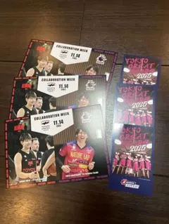 東京グレートベアーズ アルバルク東京 コラボ ポストカード