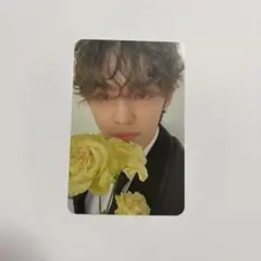 エスクプス FML Carat盤 封入トレカ