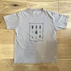 【美品】モンベル Tシャツ WIC.T Kid's 甲虫