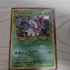 メガニウム_プレミアムファイル PROMO 第1世代 1996~1999