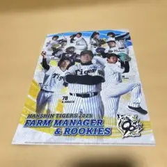 阪神タイガース2025 FARMMANAGER &ROOKIES クリアファイル