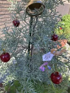 めるくま様へ　　ウール100%霜降り焦茶ふんわりベスト+暖か起毛パンツ