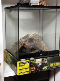 2025年最新】グラステラリウム 4560の人気アイテム - メルカリ