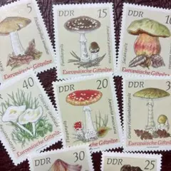 クルル様 リクエスト 3点 まとめ商品