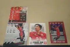 エバデダン・ラリー バレーボール 日本代表 2026 トレカ まとめ