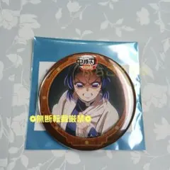 鬼滅の刃 胡蝶しのぶ ランダム缶バッジ 第3期 無限城編 ufotable