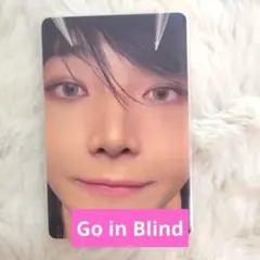 &TEAM　NICHOLAS　ニコラス　Go in Blind トレカ