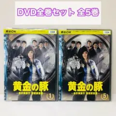 黄金の豚　会計検査庁 特別調査課　DVD全巻セット　全5巻　篠原涼子