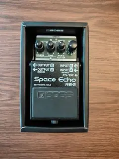 2025年最新】Roland Space Echoの人気アイテム - メルカリ