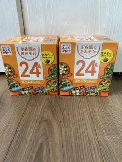 【賞味期限間近の為格安】 永谷園 生みそタイプ おみそ汁 24食×2箱