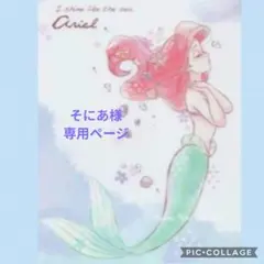 そにあ様 専用ページです