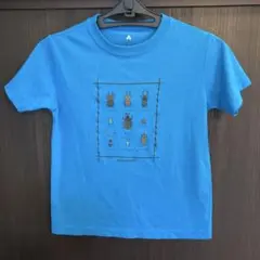 mont-bell 昆虫デザイン Tシャツ 青