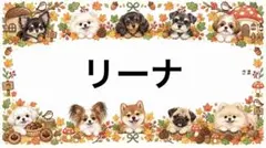 専用