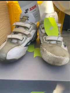 Item thumbnail for item 0d5d9e84-17c0-408f-90b3-99a7f3743169