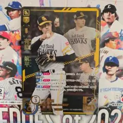 有原航平 SEC ドリームオーダー 福岡ソフトバンクホークス