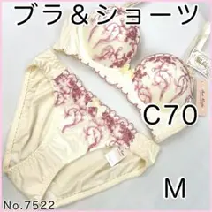 ブラジャーショーツセットC70 No.7522