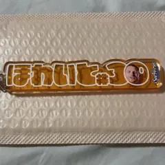 シーホース三河　ネームロゴキーホルダー　アーロンホワイト選手