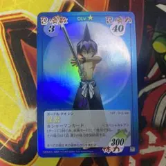 シルバ スペシャルレア シャーマンキングカード - メルカリ