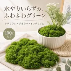 フェイクモスグリーン 人工苔 苔 モスグリーン 観葉植物 人工植物のサムネイル