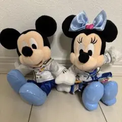 東京ディズニーリゾート ディズニーランド Disney