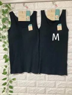 Item thumbnail for item 80c4650b-8335-4108-9963-c2b0ac541210