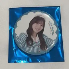 日向坂46 河田陽菜　ハロウィン衣装　缶バッジ